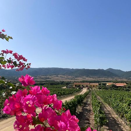 Agriturismo Campesi Casale Tra Le Vigne 아글리엔투 외부 사진