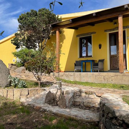 Agriturismo Campesi Casale Tra Le Vigne 아글리엔투 외부 사진