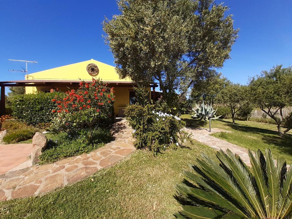 Agriturismo Campesi Casale Tra Le Vigne 아글리엔투 외부 사진