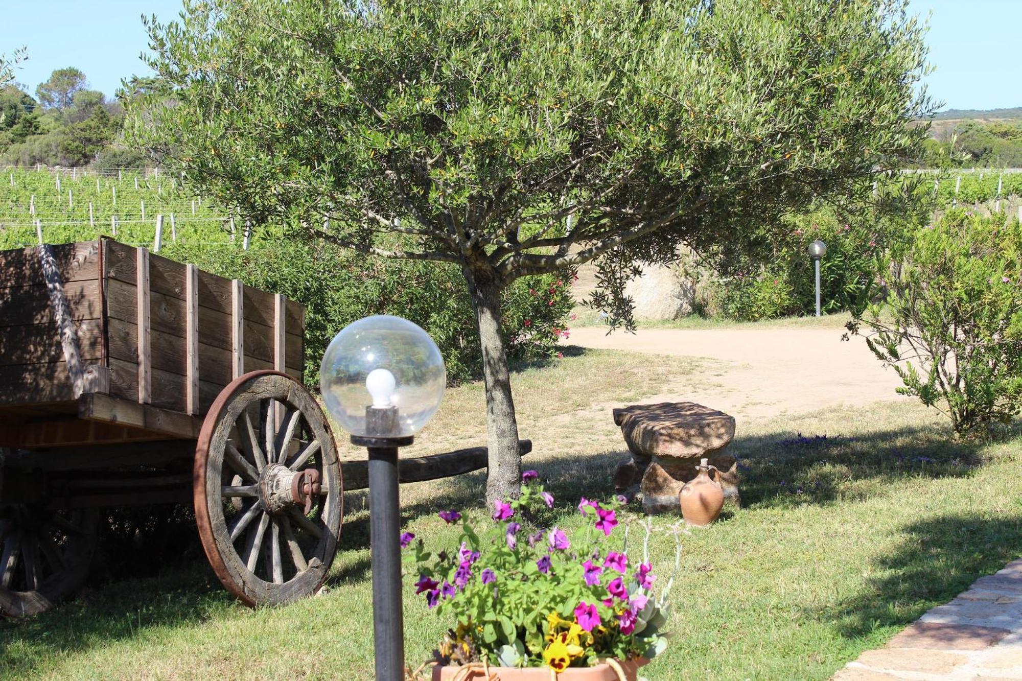Agriturismo Campesi Casale Tra Le Vigne 아글리엔투 외부 사진