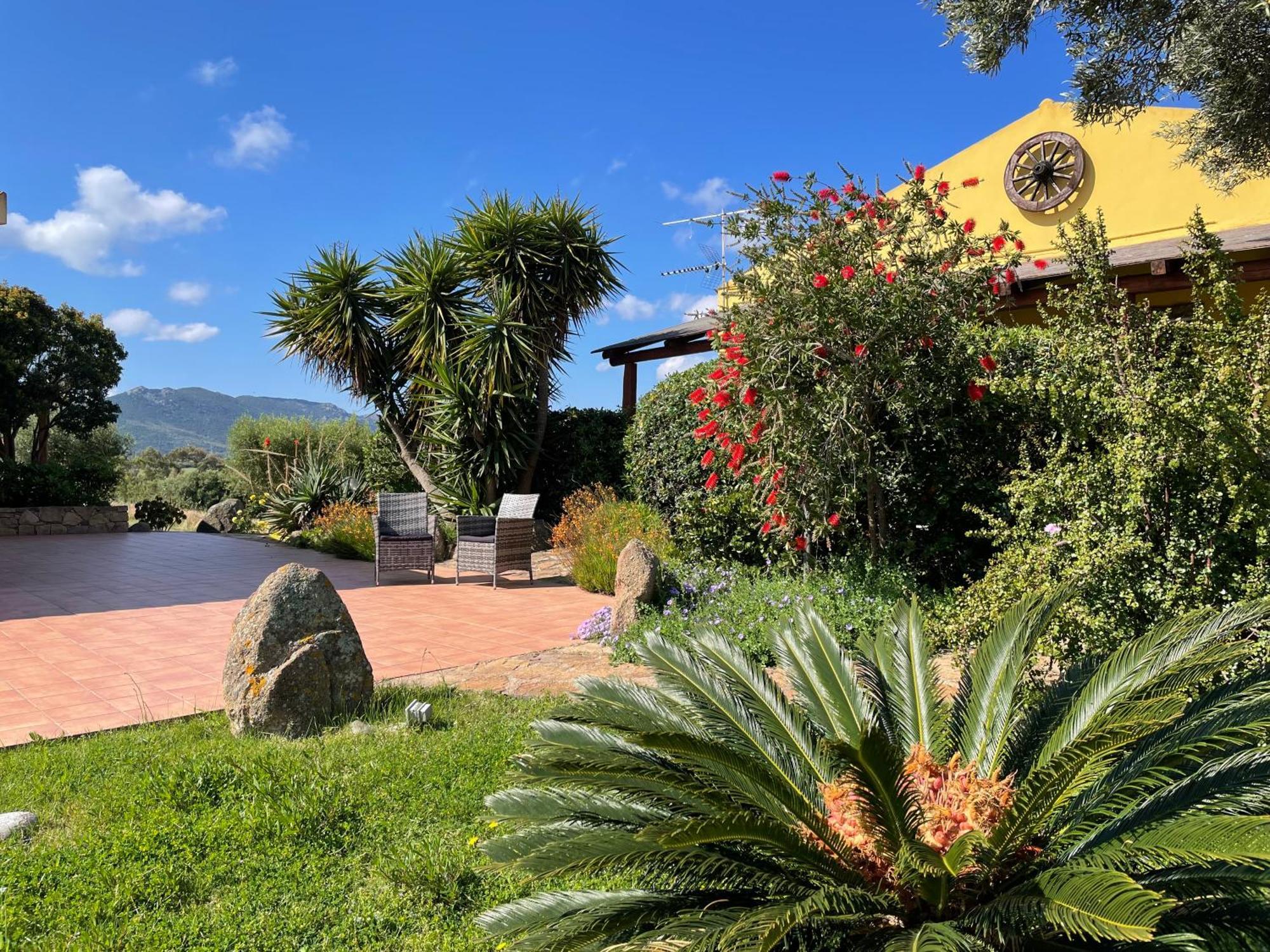 Agriturismo Campesi Casale Tra Le Vigne 아글리엔투 외부 사진
