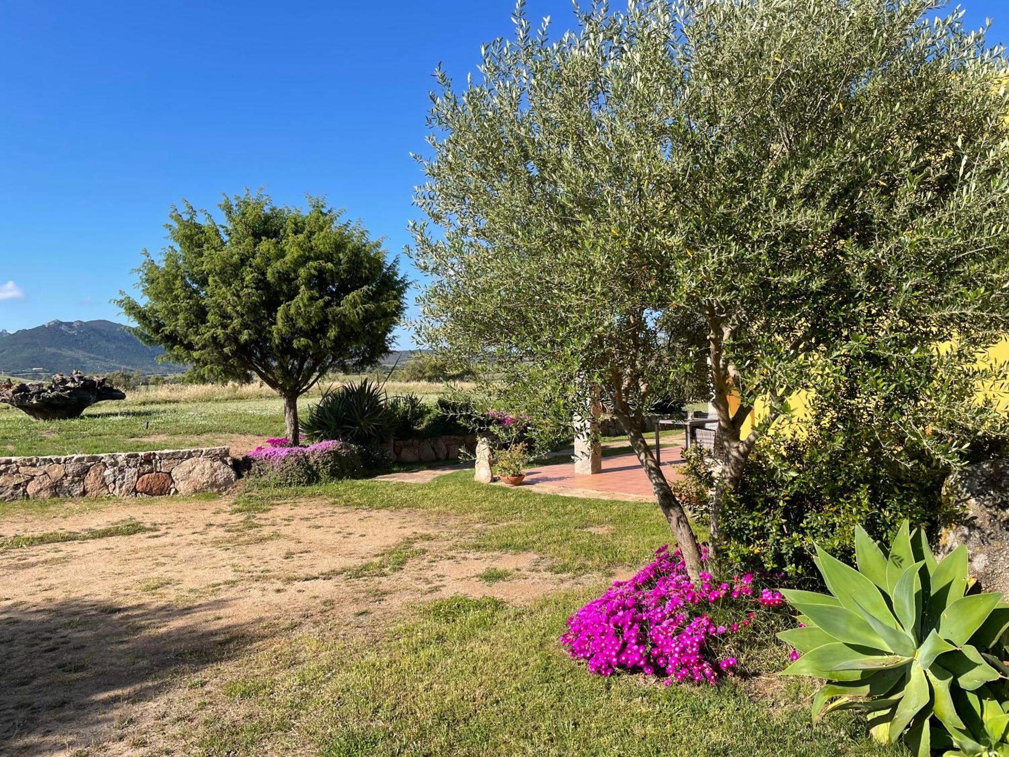 Agriturismo Campesi Casale Tra Le Vigne 아글리엔투 외부 사진