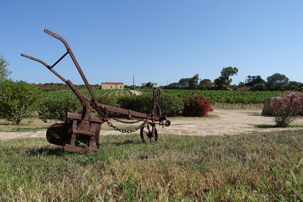 Agriturismo Campesi Casale Tra Le Vigne 아글리엔투 외부 사진