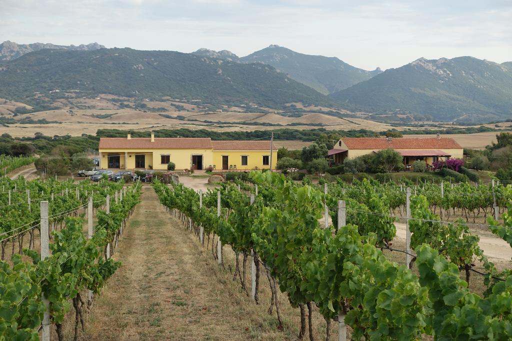 Agriturismo Campesi Casale Tra Le Vigne 아글리엔투 외부 사진