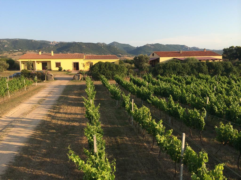 Agriturismo Campesi Casale Tra Le Vigne 아글리엔투 외부 사진