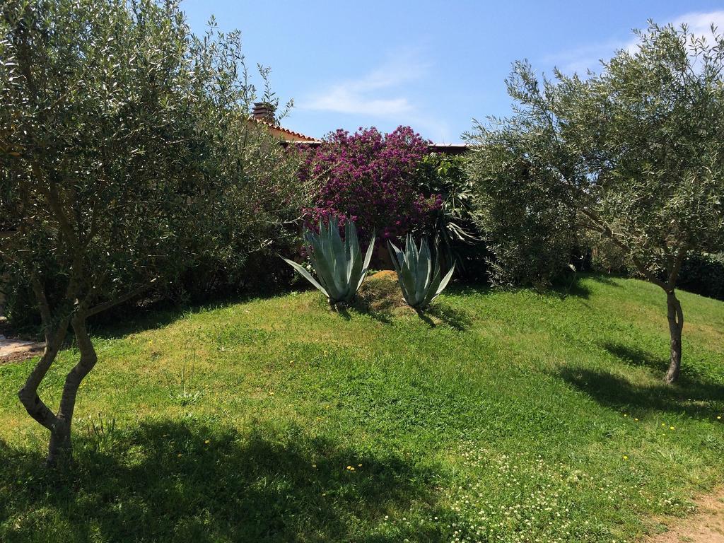 Agriturismo Campesi Casale Tra Le Vigne 아글리엔투 외부 사진