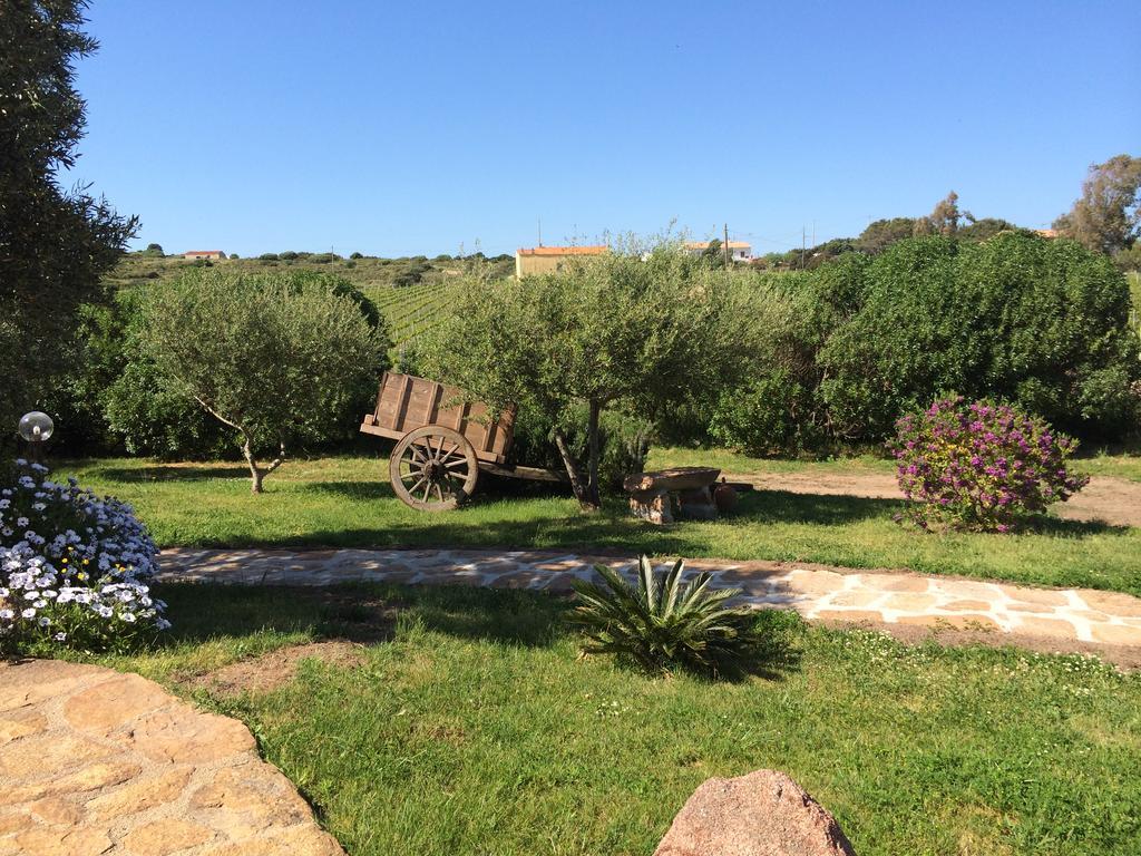 Agriturismo Campesi Casale Tra Le Vigne 아글리엔투 외부 사진