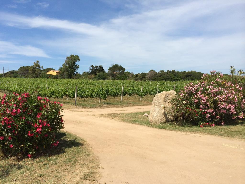 Agriturismo Campesi Casale Tra Le Vigne 아글리엔투 외부 사진