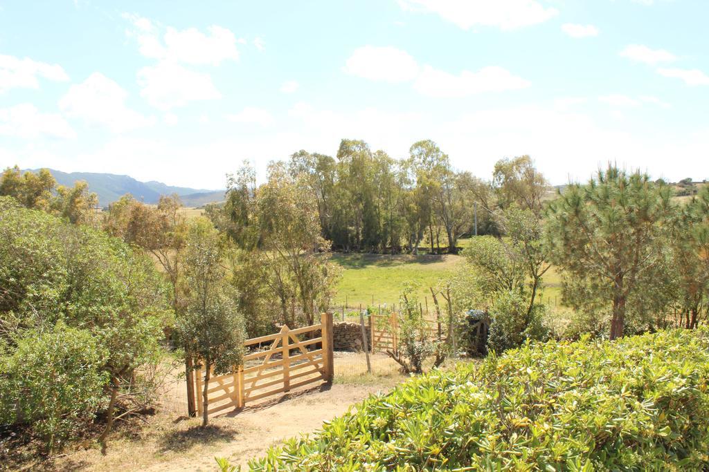Agriturismo Campesi Casale Tra Le Vigne 아글리엔투 외부 사진