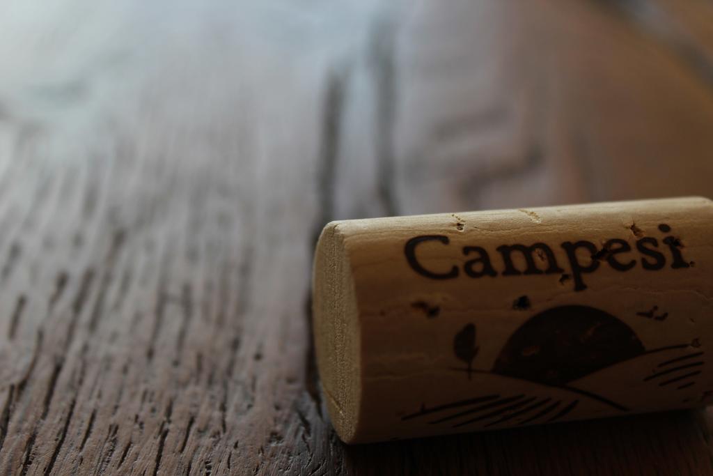 Agriturismo Campesi Casale Tra Le Vigne 아글리엔투 외부 사진