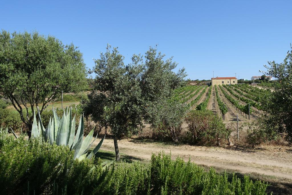 Agriturismo Campesi Casale Tra Le Vigne 아글리엔투 외부 사진