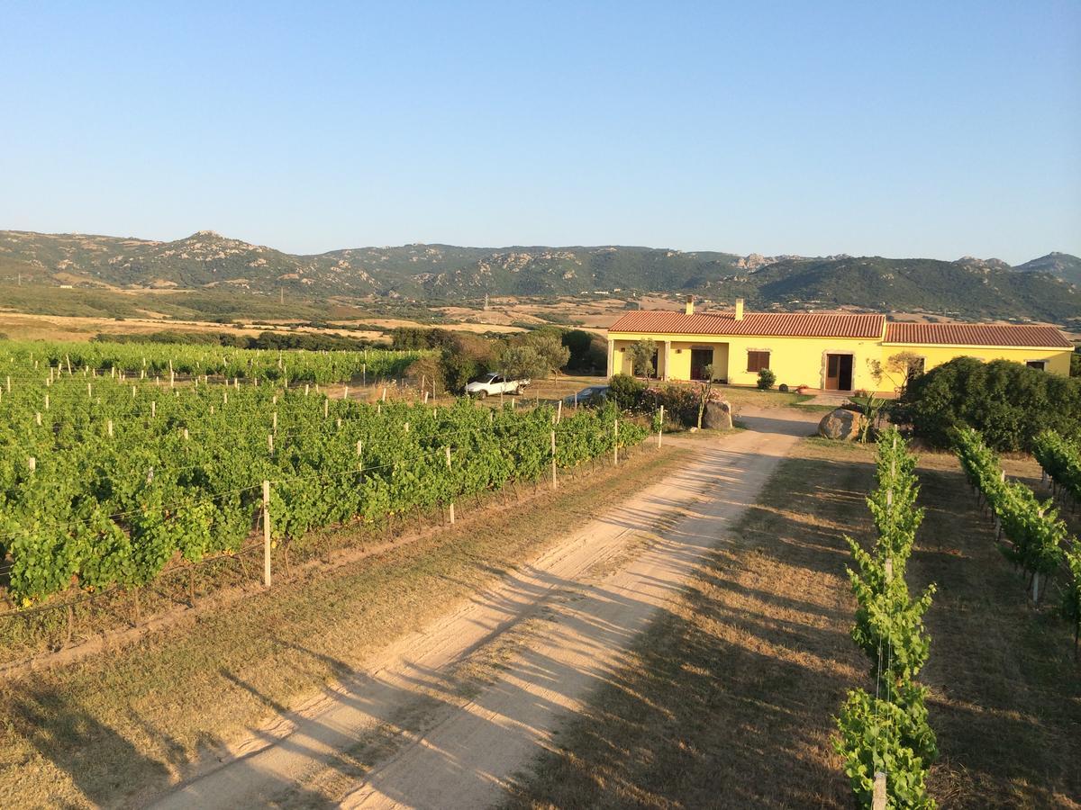 Agriturismo Campesi Casale Tra Le Vigne 아글리엔투 외부 사진