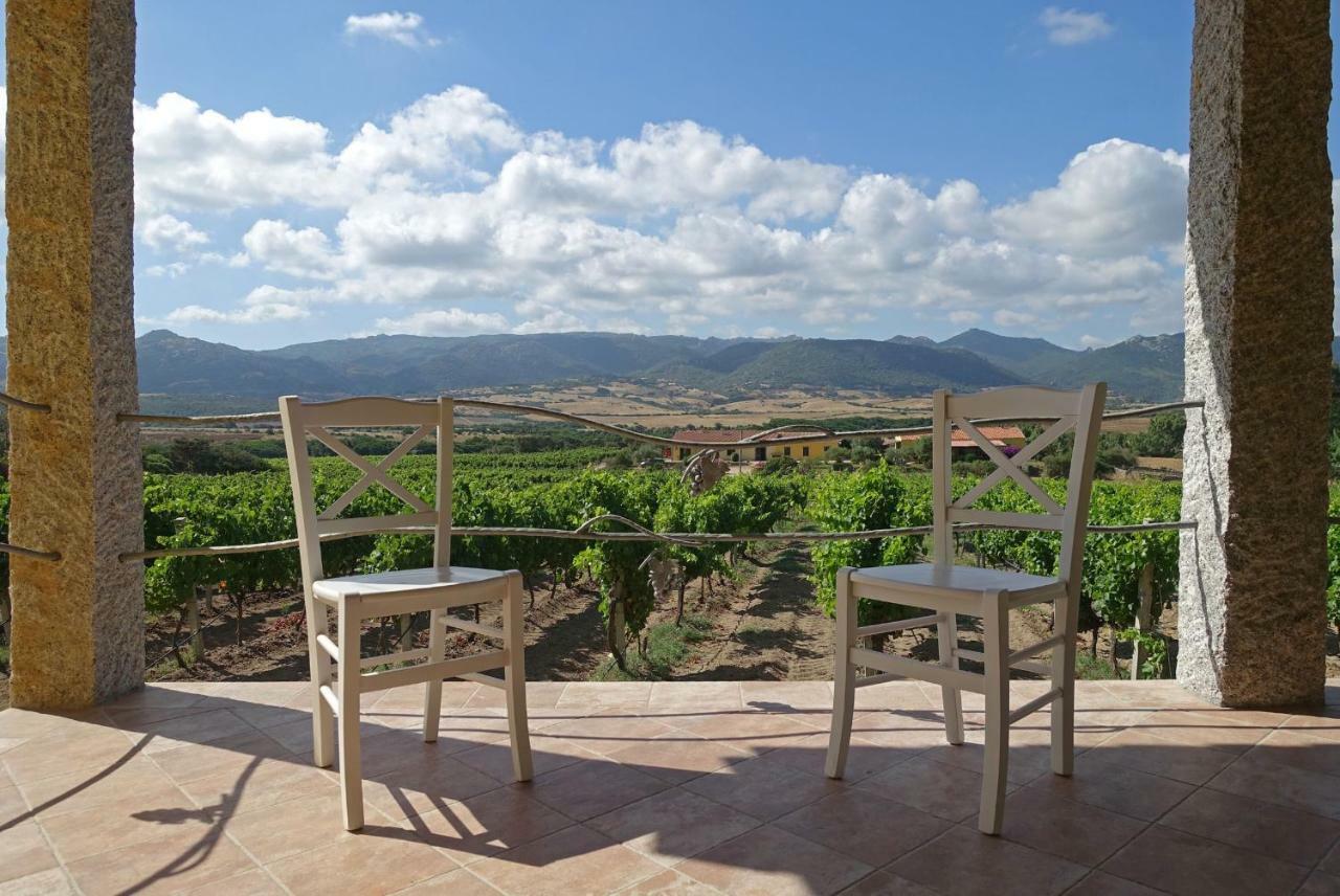Agriturismo Campesi Casale Tra Le Vigne 아글리엔투 외부 사진