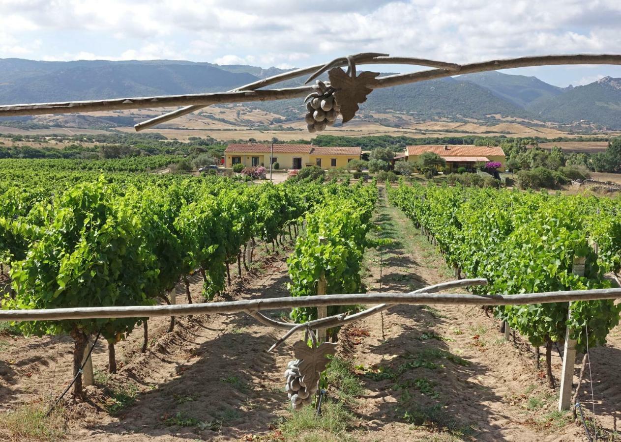 Agriturismo Campesi Casale Tra Le Vigne 아글리엔투 외부 사진