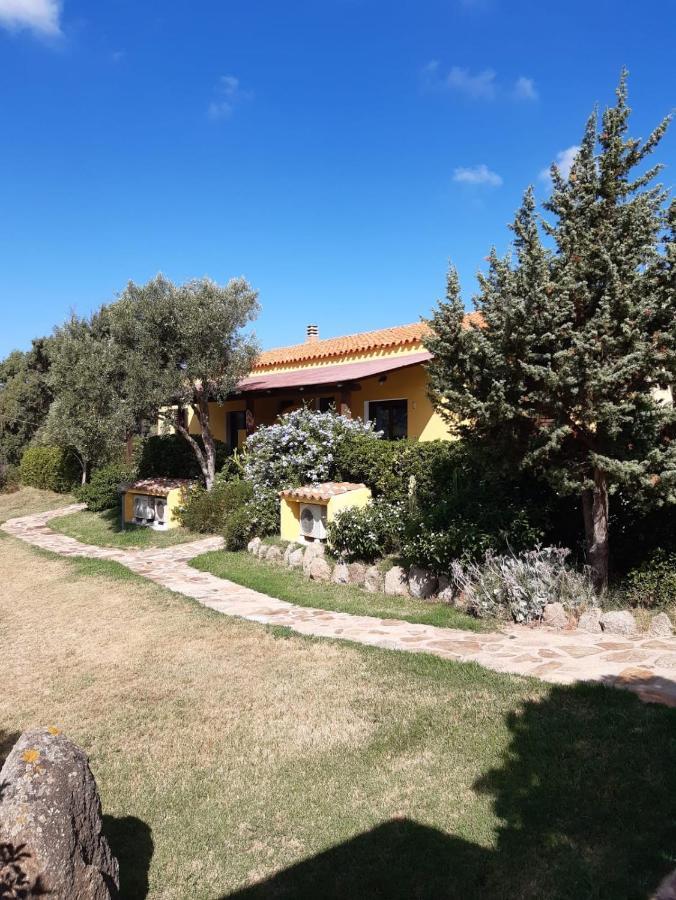 Agriturismo Campesi Casale Tra Le Vigne 아글리엔투 외부 사진