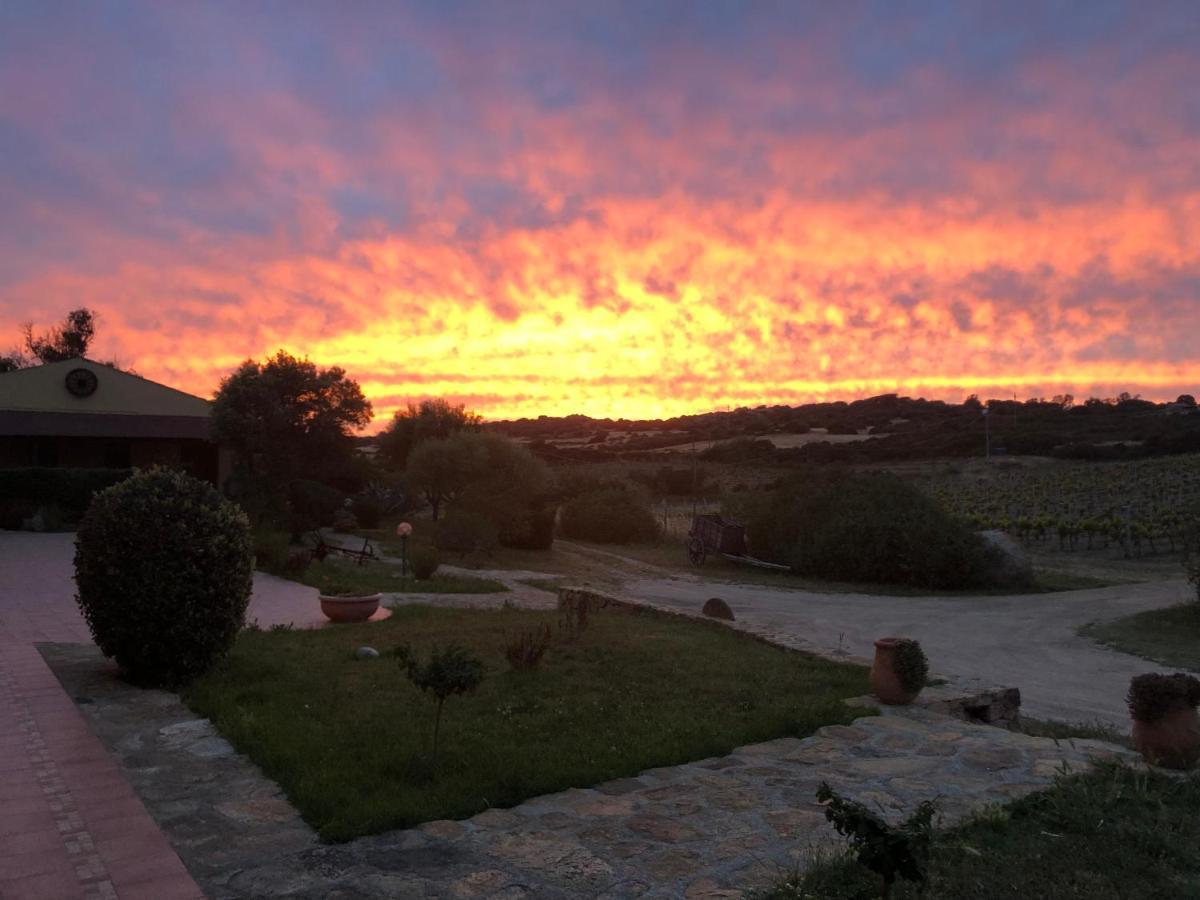 Agriturismo Campesi Casale Tra Le Vigne 아글리엔투 외부 사진