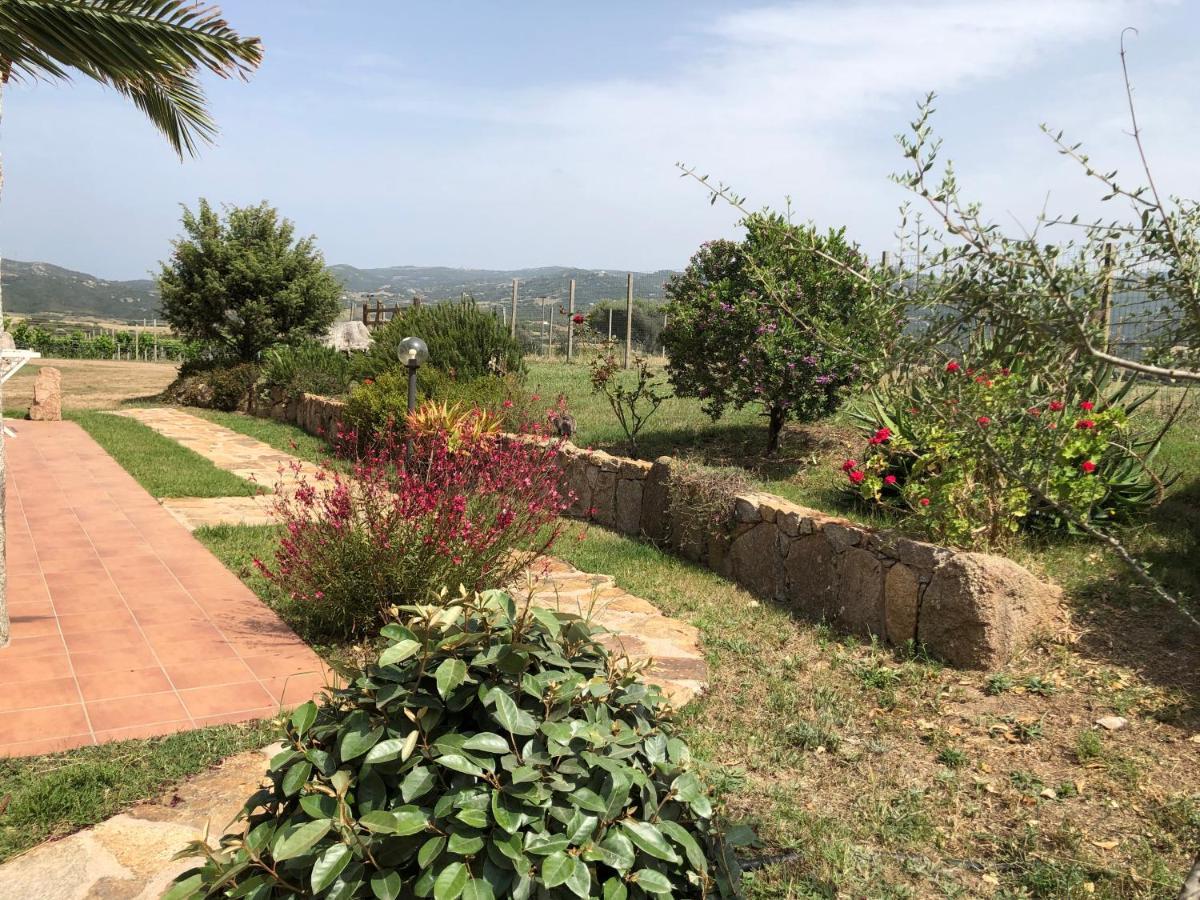 Agriturismo Campesi Casale Tra Le Vigne 아글리엔투 외부 사진